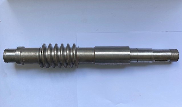 Vite senza fine per riduttore