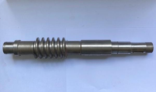 Vite senza fine per riduttore