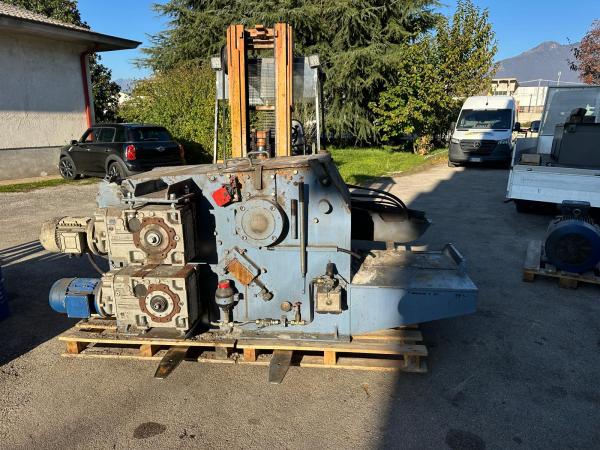 CIPPATORE - VALENTINI